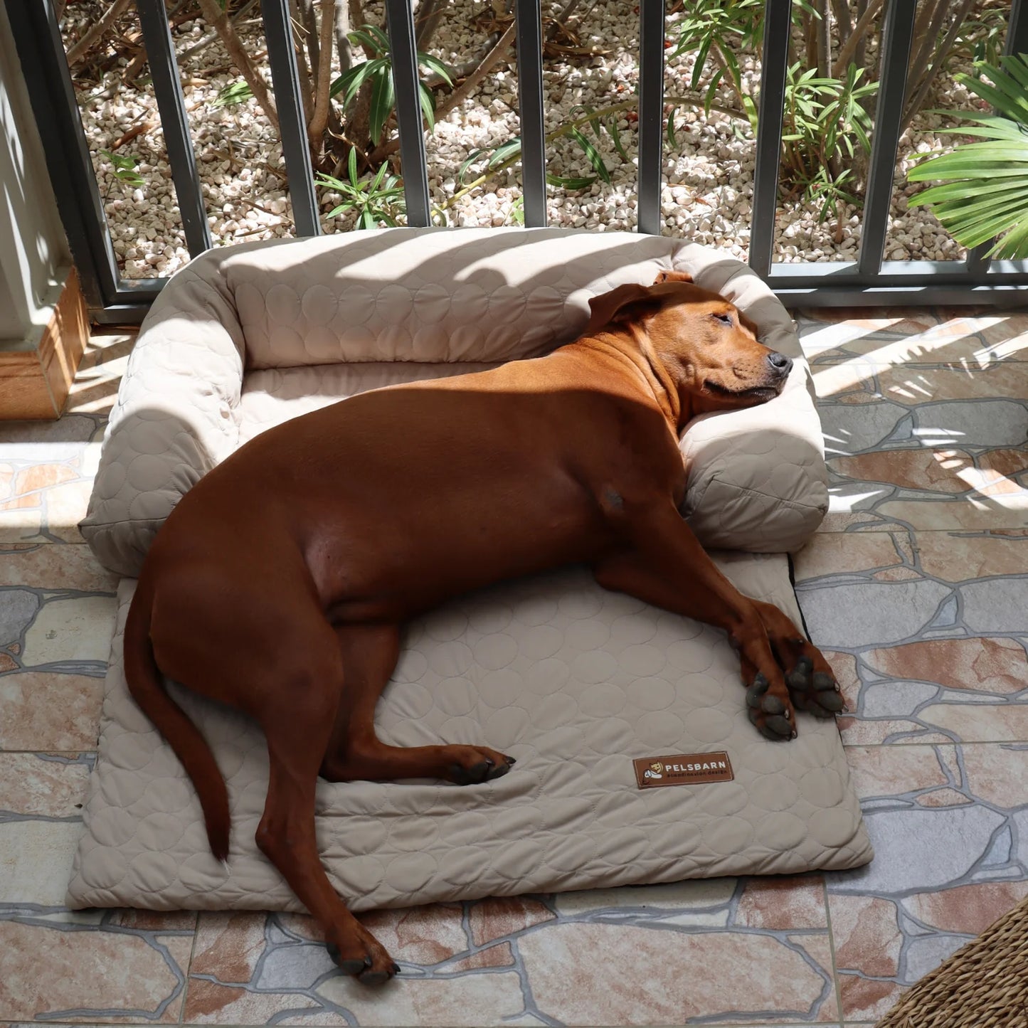 Pelsbarn Cooling Bed (4X More Effective)