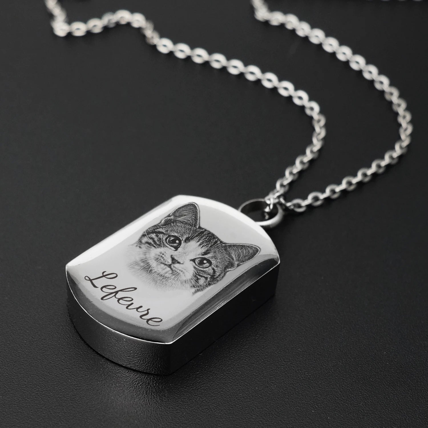 Cremation Jewelry Custom Pet Portrait Pet Urn Pendant for Dog Cat Ashes Necklace Pets Memorial Pet Memorial Pendants for Dog