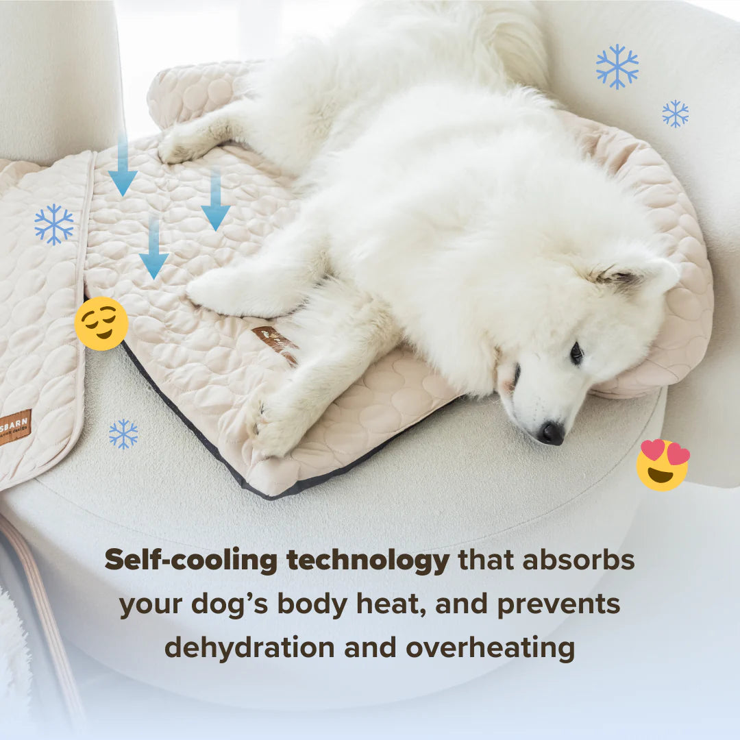 Pelsbarn Cooling Bed (4X More Effective)