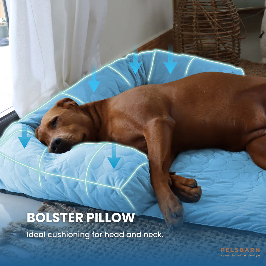 Pelsbarn Cooling Bed (4X More Effective)