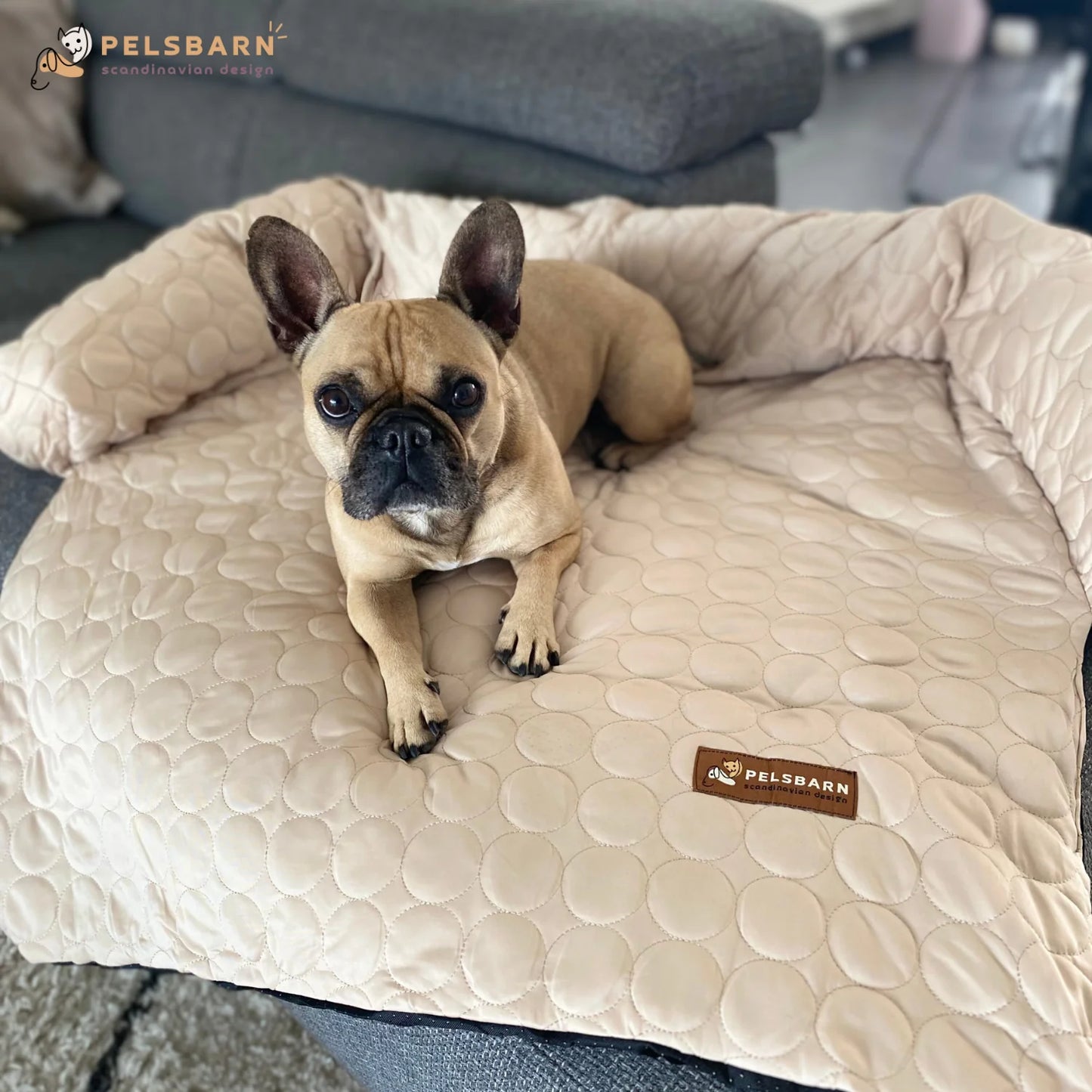 Pelsbarn Cooling Bed (4X More Effective)