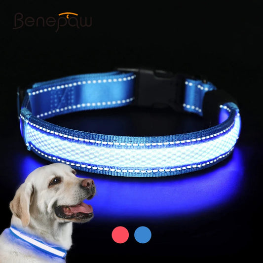 LED Dog Collar USB Rechargeable Comfortable Reflective Bright Light up Glow Collars for Small Medium Large Dogs