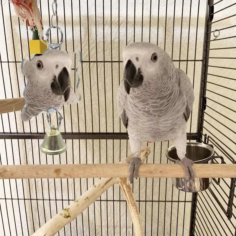 Bird Mirror with Bell Durable Interactive Puzzle Parrot Toy Bird Cage Mirror Safe and Durable Bird Cage Stand Decoration Pet