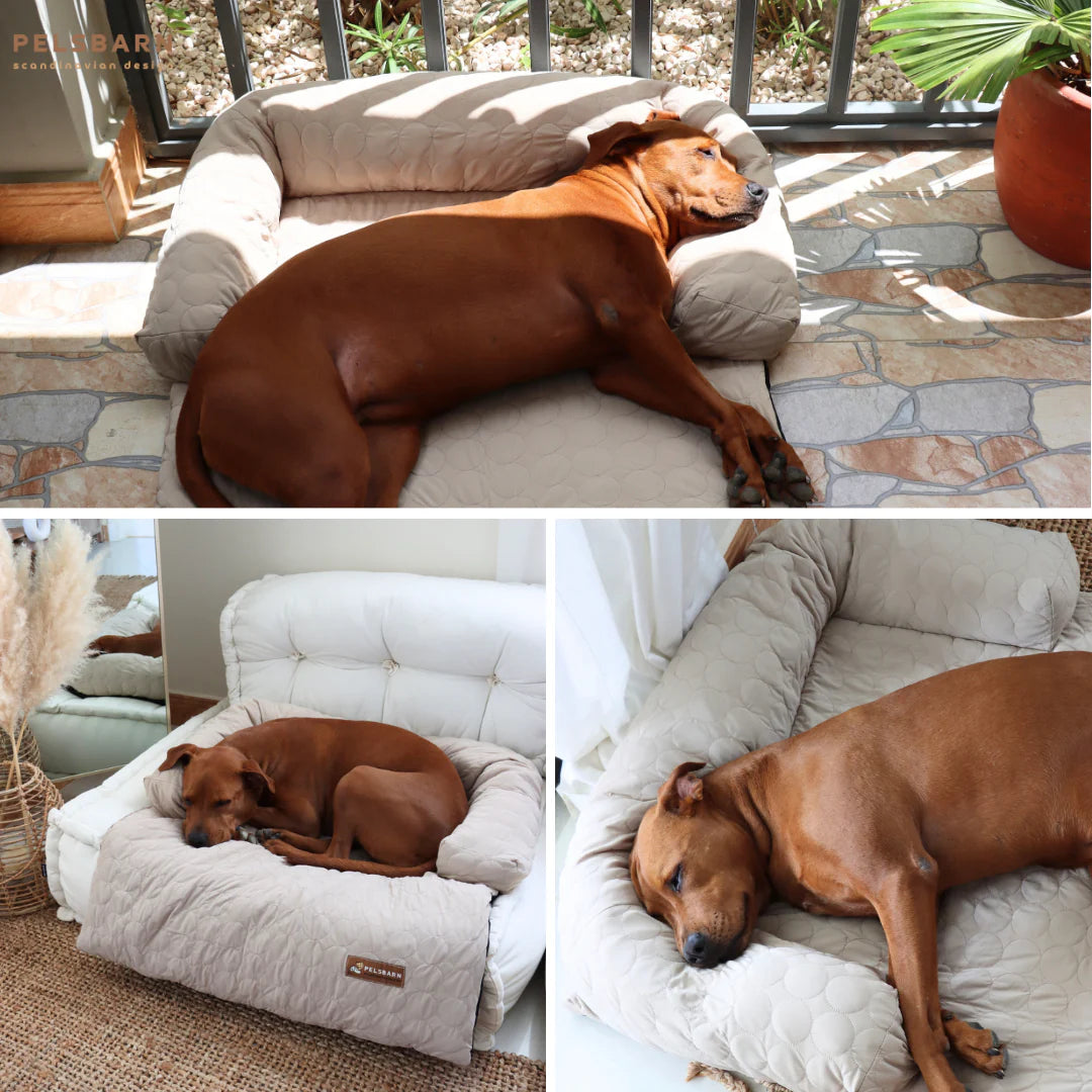 Pelsbarn Cooling Bed (4X More Effective)