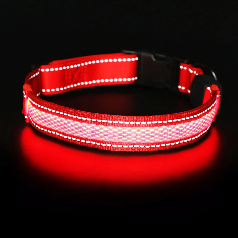 LED Dog Collar USB Rechargeable Comfortable Reflective Bright Light up Glow Collars for Small Medium Large Dogs