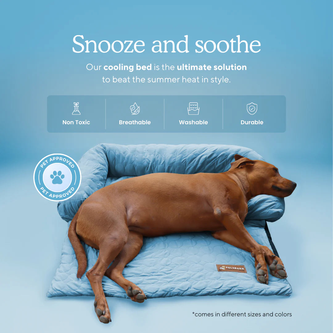 Pelsbarn Cooling Bed (4X More Effective)