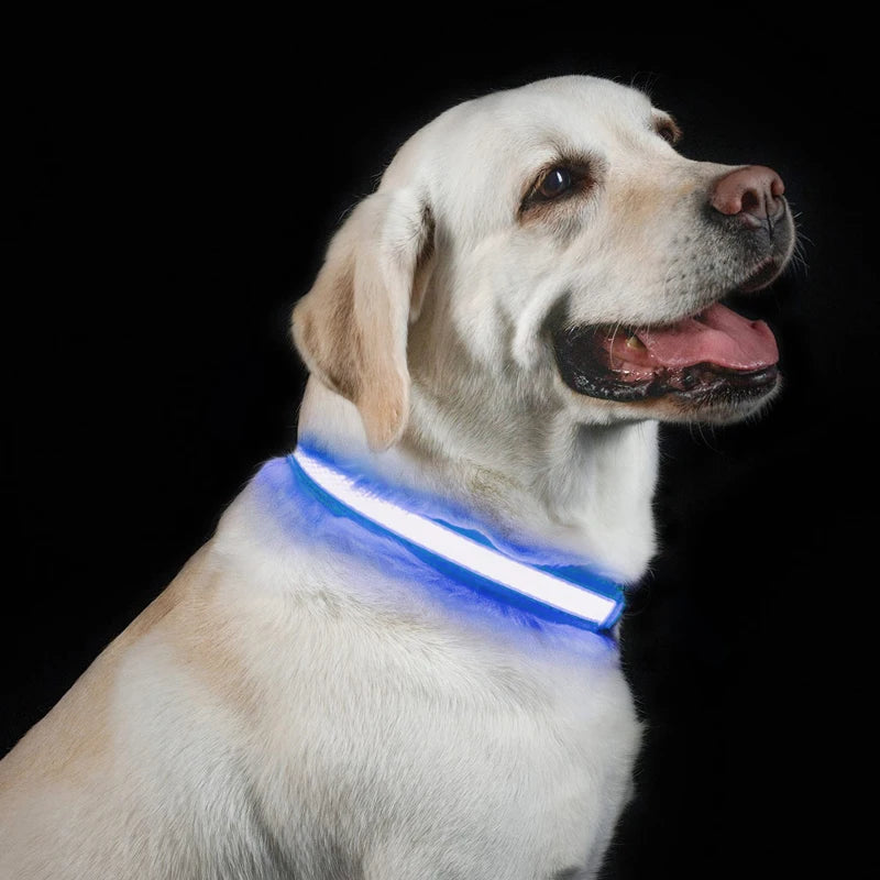 LED Dog Collar USB Rechargeable Comfortable Reflective Bright Light up Glow Collars for Small Medium Large Dogs