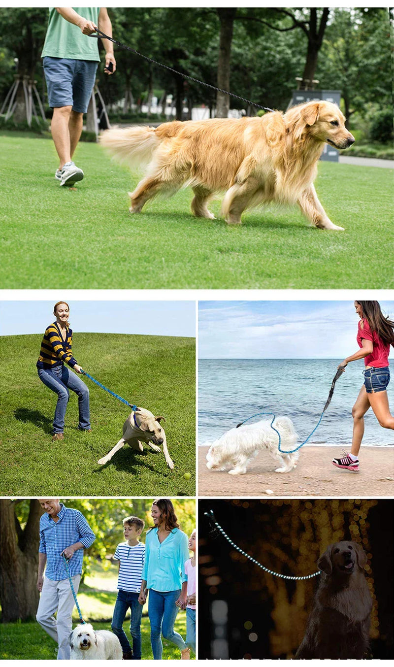 Durable Dog Leash with Poop Bag Dispenser - Reflective Material for Nighttime Safety