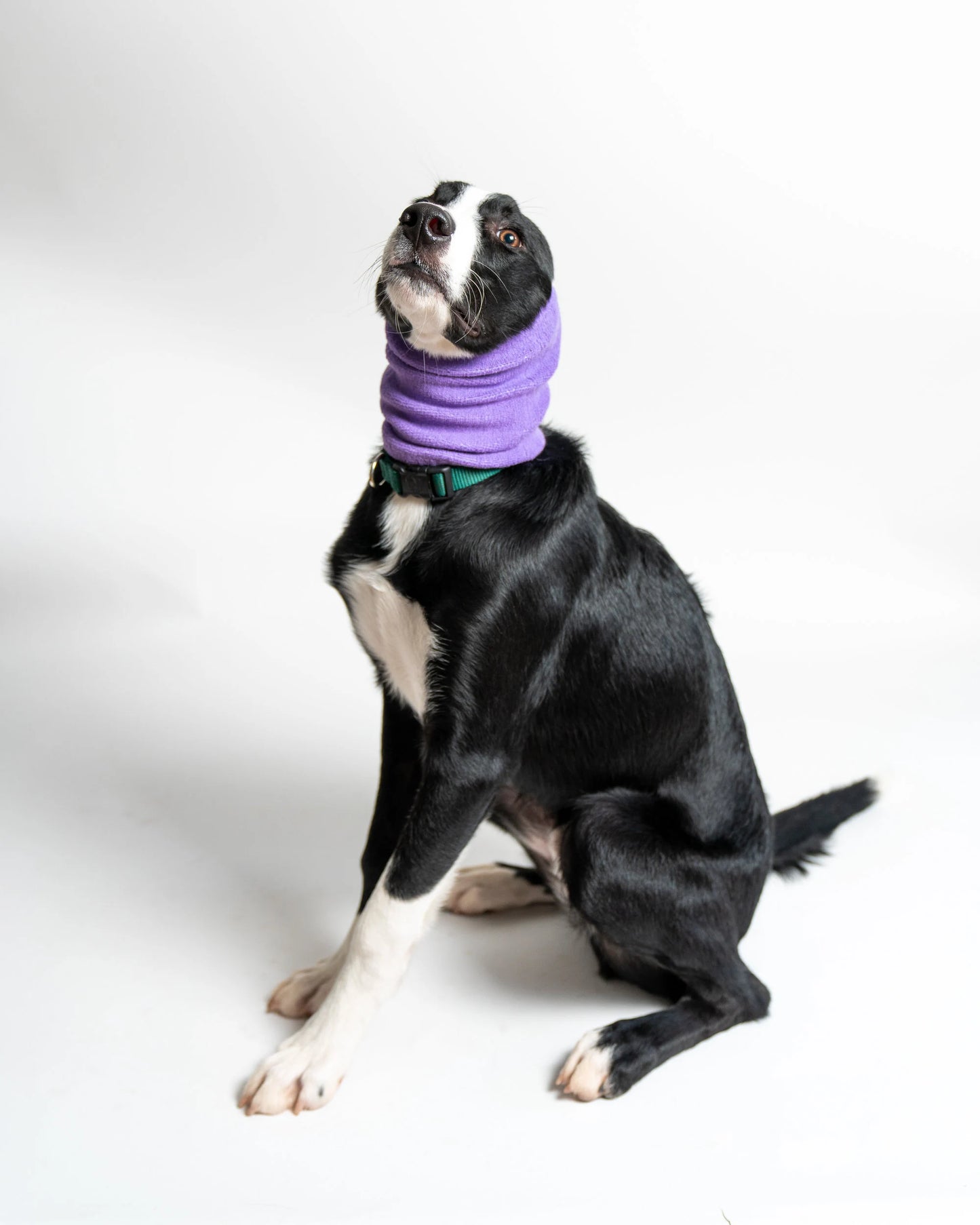 Pet Hoodz for Dogs-Anxiety, Grooming, Ear Muffs, Dog Ear Protection, Calming, Ear Compression, Pet Hoodie, Dog Hoodie